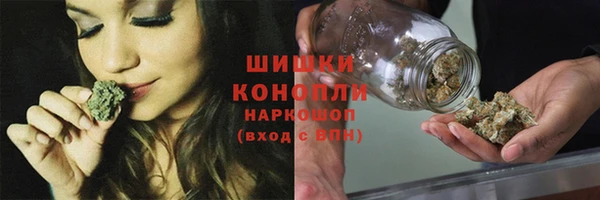 дмт Ладушкин