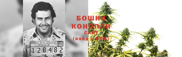 дмт Ладушкин