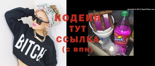 дмт Ладушкин