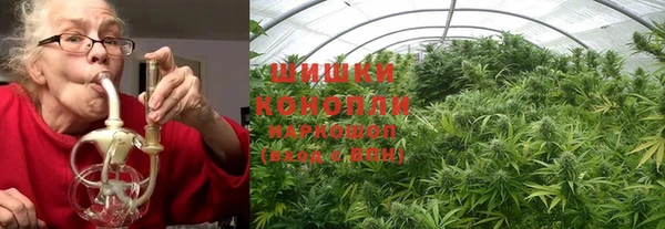 дмт Ладушкин