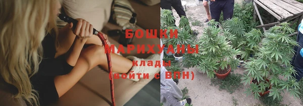 дмт Ладушкин