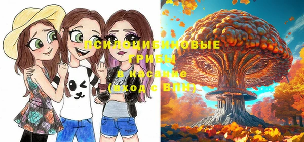 дмт Ладушкин